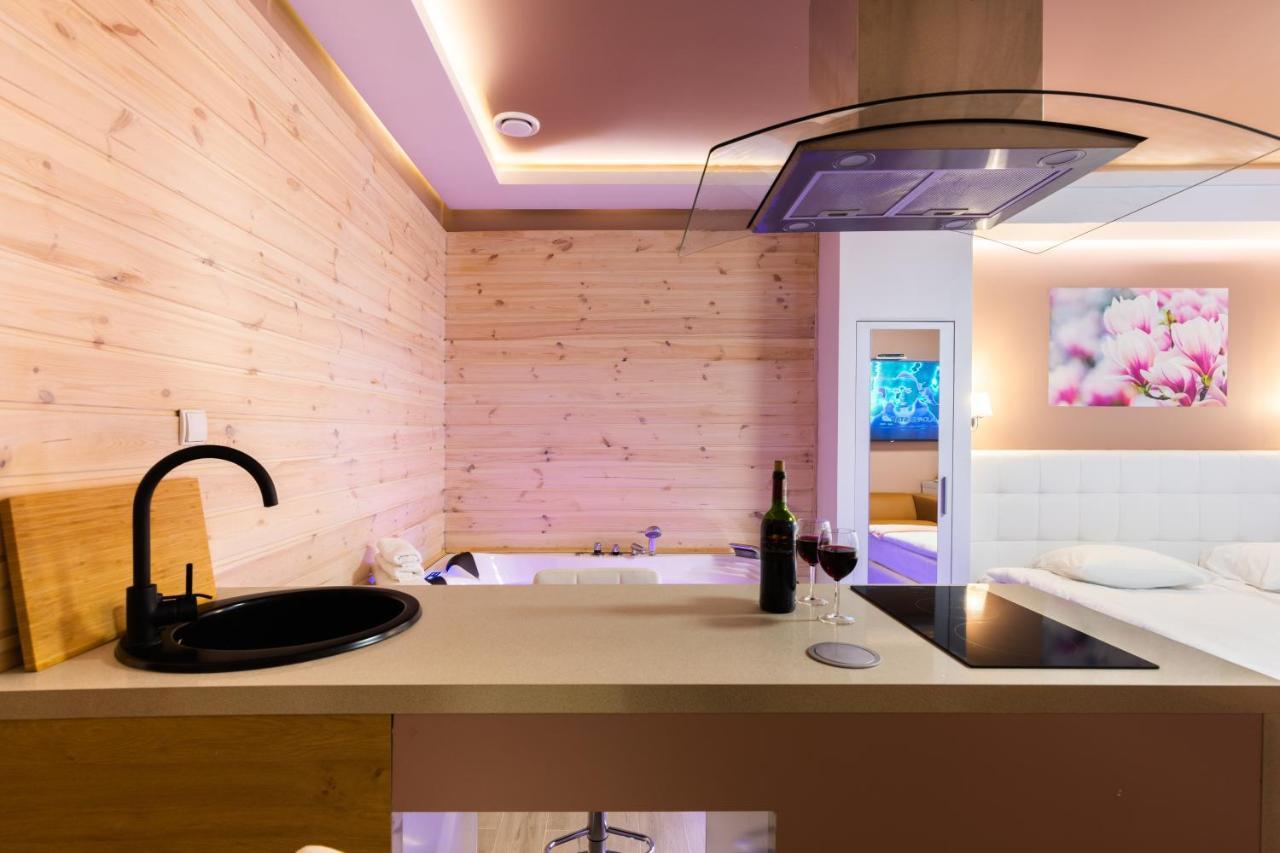 Melody De Luxe Apartment Michalowice  Εξωτερικό φωτογραφία